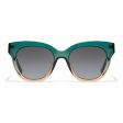 Ladies Sunglasses Audrey Hawkers Green Golden Online