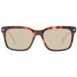 Men s Sunglasses Ted Baker TB1696 54101 Supply