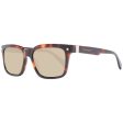 Men s Sunglasses Ted Baker TB1696 54101 Supply