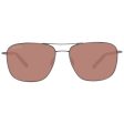 Men s Sunglasses Serengeti 8799-AU 58 Online Sale