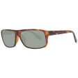 Unisex Sunglasses Serengeti 9053 61 For Sale