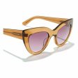 Ladies Sunglasses Hyde Hawkers Pink Online Hot Sale