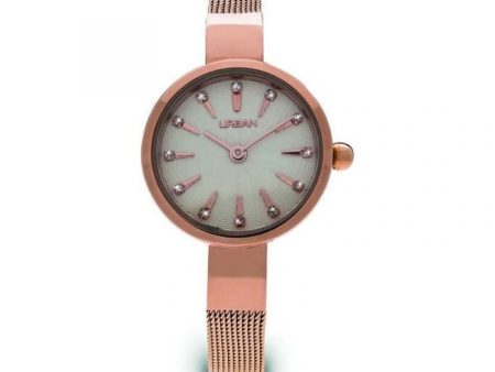 Ladies  Watch Urban ZU013L For Discount