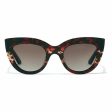 Ladies Sunglasses Hyde Hawkers Dark brown For Discount