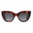 Ladies Sunglasses Hyde Hawkers Brown For Cheap