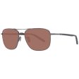 Men s Sunglasses Serengeti 8799-AU 58 Online Sale